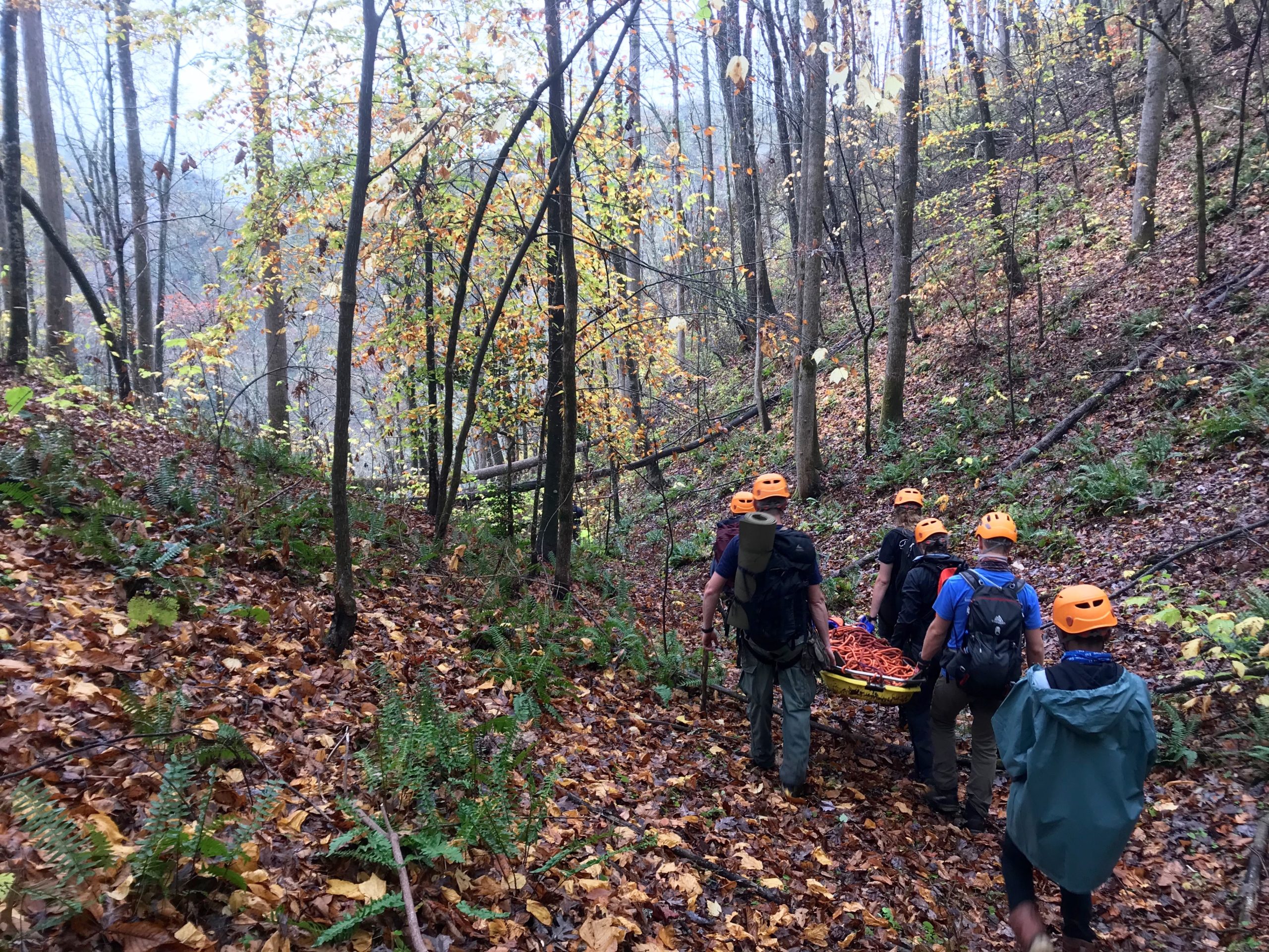 Group carrying litter